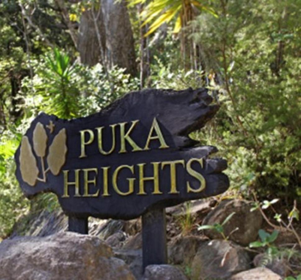 Bed and Breakfast Puka Heights Pauanui Exteriér fotografie